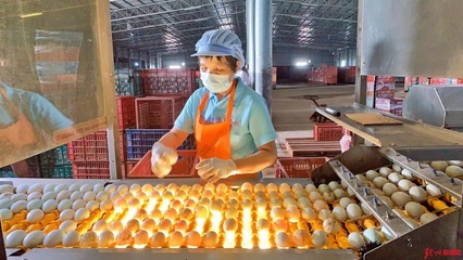 網(wǎng)眼看欽州|誠(chéng)信食品企業(yè)開(kāi)放日，“零距離”感受放心食品